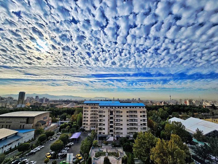 تنظیمات